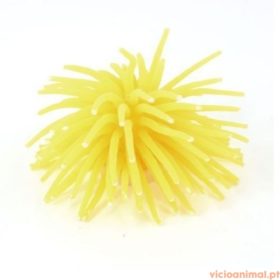 Anémona 6 Cm - Imagem 5