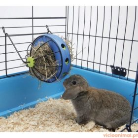 Savic Bunny Toy - Imagem 3
