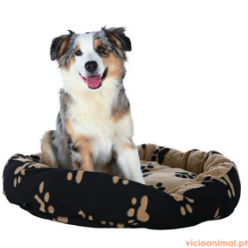 Cama Sammy