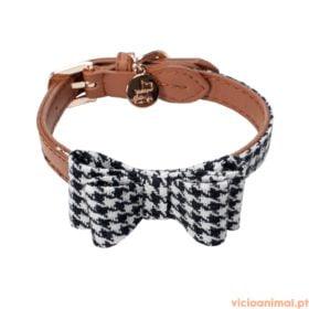 Coleira Pied-de-Poule