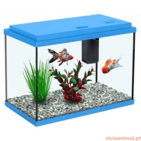Aquário Funny Fish 40 - Imagem 5