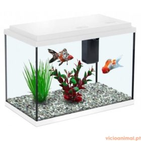 Aquário Funny Fish 40 - Imagem 6
