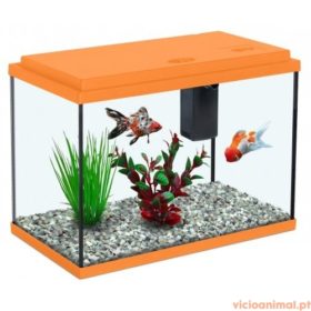 Aquário Funny Fish 40 - Imagem 4