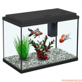 Aquário Funny Fish 40 - Imagem 7