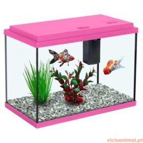 Aquário Funny Fish 40 - Imagem 2