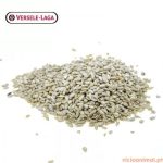 Girassol Descascado 1 Kg