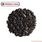 Girassol Preto 1 Kg