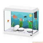 Aquário KIT 40