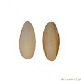 Osso Choco 10/15 Cm