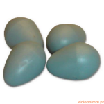 Ovos de Plástico p/ Pássaros