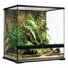 Habitat Terrário Exo Terra Tall - Imagem 3