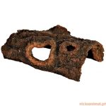 Tronco Cavernoso
