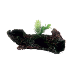 Tronco Furado c/ Planta