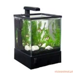 Aquário Aquabox