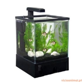 Aquário Aquabox