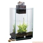 Aquário FLUVAL CHI