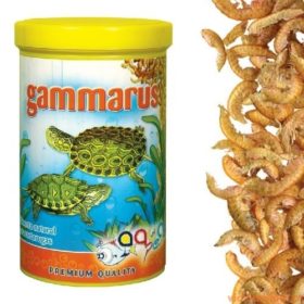 Gammarus - Camarões p/ Tartarugas