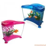 Aquário Marina Cool 10 Lts