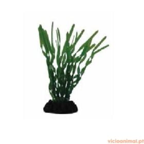 Planta Plástica - Vallisnéria