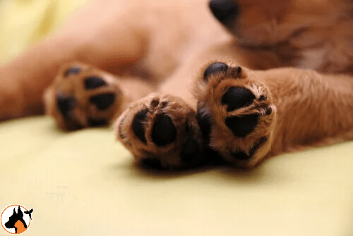 ???? Uma segurança extra! ????