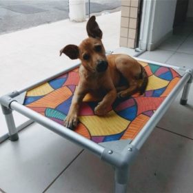 Cama Buddy - Imagem 3