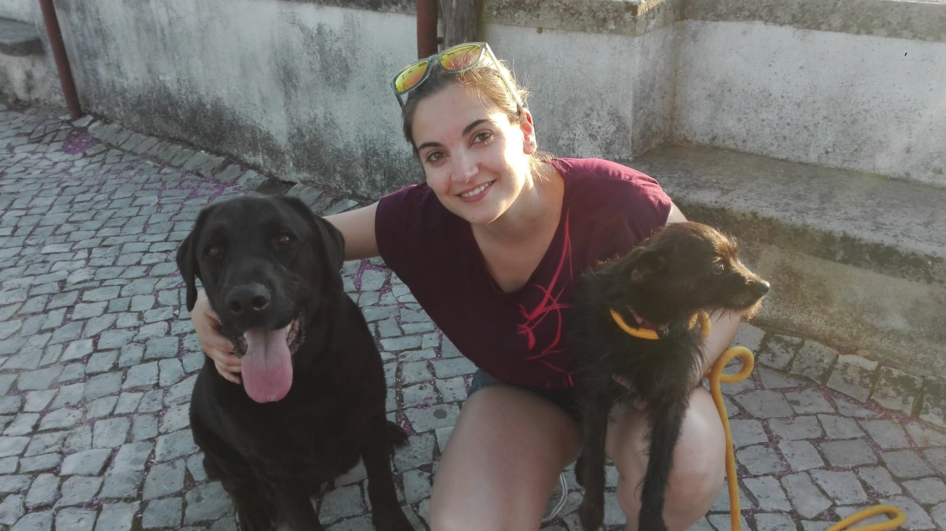 Os 4 cães da Andreia ????????????????