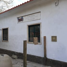 Associação Pegadas e Bigodes - Associação Amiga dos Animais Associação Pegadas e Bigodes - Associação Amiga dos Animais
