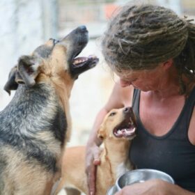 Associação Pegadas e Bigodes - Associação Amiga dos Animais Associação Pegadas e Bigodes - Associação Amiga dos Animais