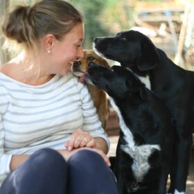 Associação Pegadas e Bigodes - Associação Amiga dos Animais Associação Pegadas e Bigodes - Associação Amiga dos Animais