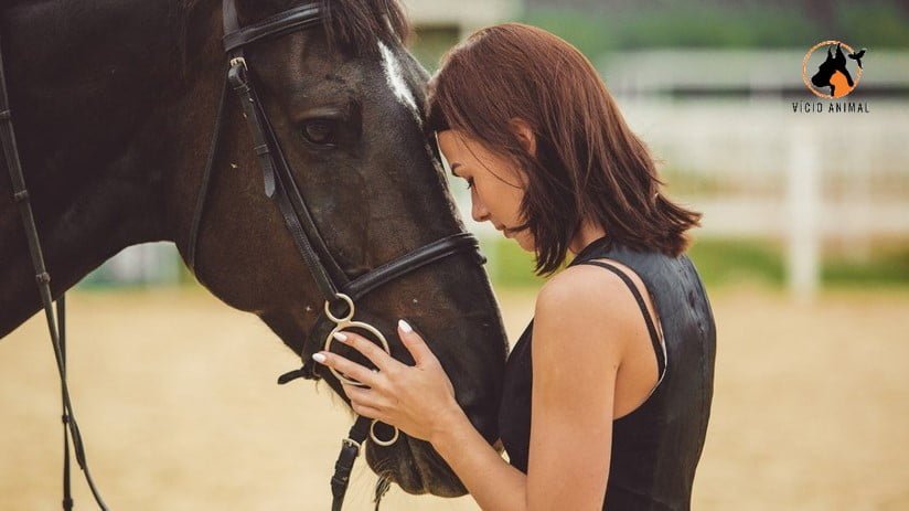 Intervenções e atividades assistidas por animais