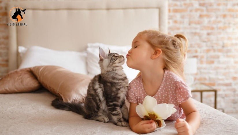 Intervenções e atividades assistidas por animais