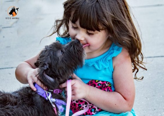 Terapia Assistida por Animais (TAA)