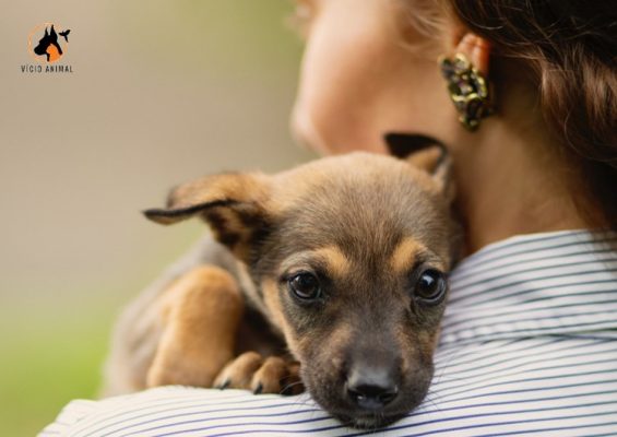 Terapia Assistida por Animais (TAA)
