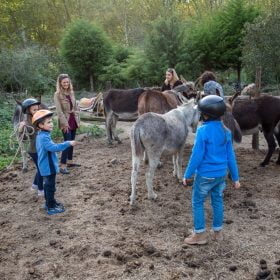 Reserva de Burros, em Sintra