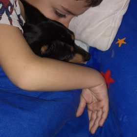Woody, o cão da Ana Woody, o cão da Ana