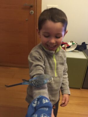 O Piu Piu da João