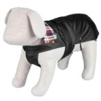 Capa Paris - Imagem 5