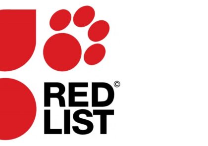 7 Animais em Vias de Extinção