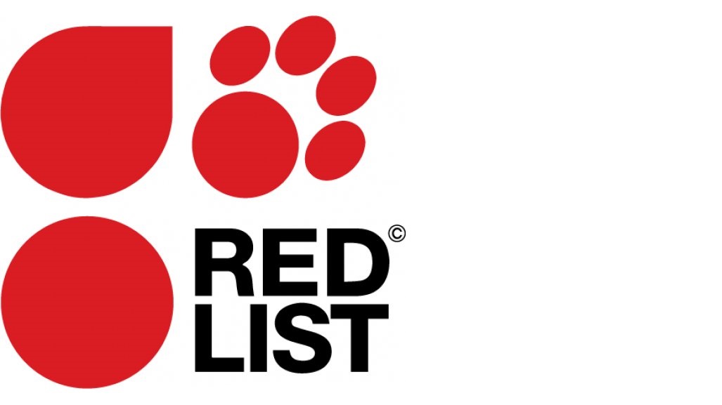 7 Animais em Vias de Extinção