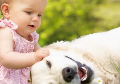 Vício Animal Pet Shop