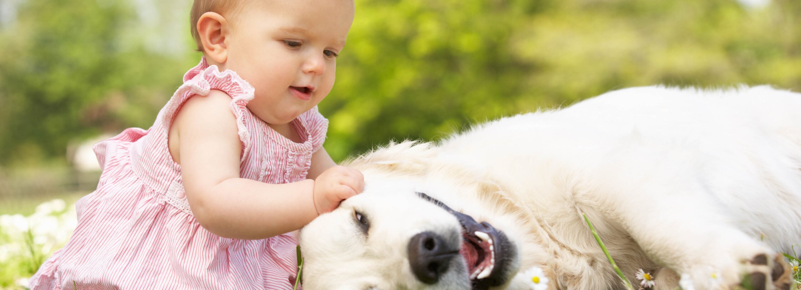 Crianças com animais de estimação adquirem qualidades maravilhosas!