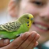 Crianças com animais de estimação adquirem qualidades maravilhosas!