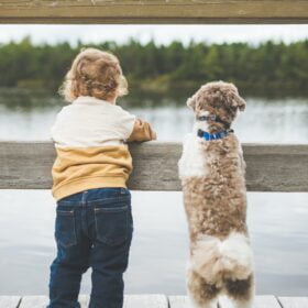 Crianças com animais de estimação adquirem qualidades maravilhosas!