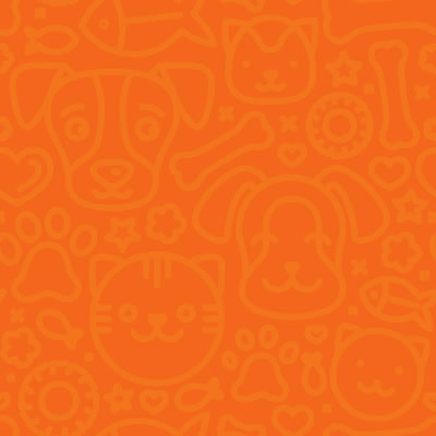 Vício Animal Petshop