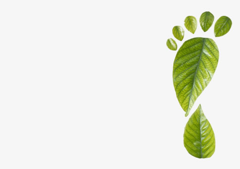 Vício Animal Pet Shop