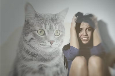 Vício Animal Pet Shop